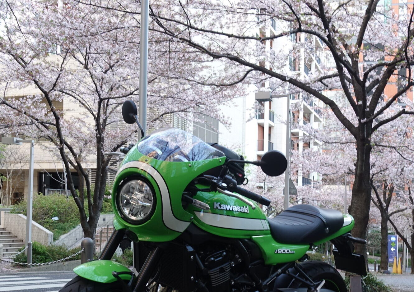 葵のバイクLife