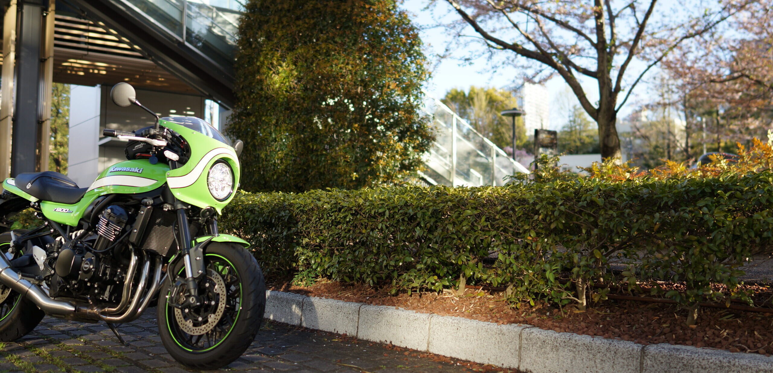 葵のバイクLife